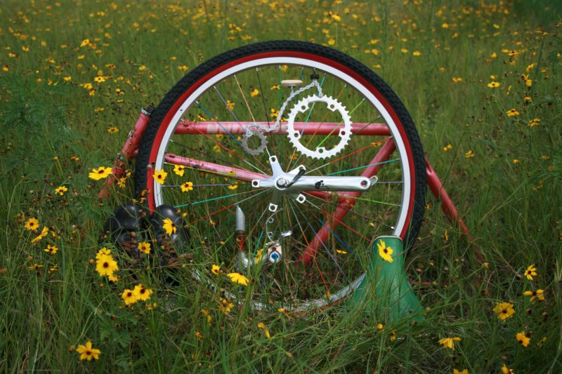 Photo by Marion Cranmer